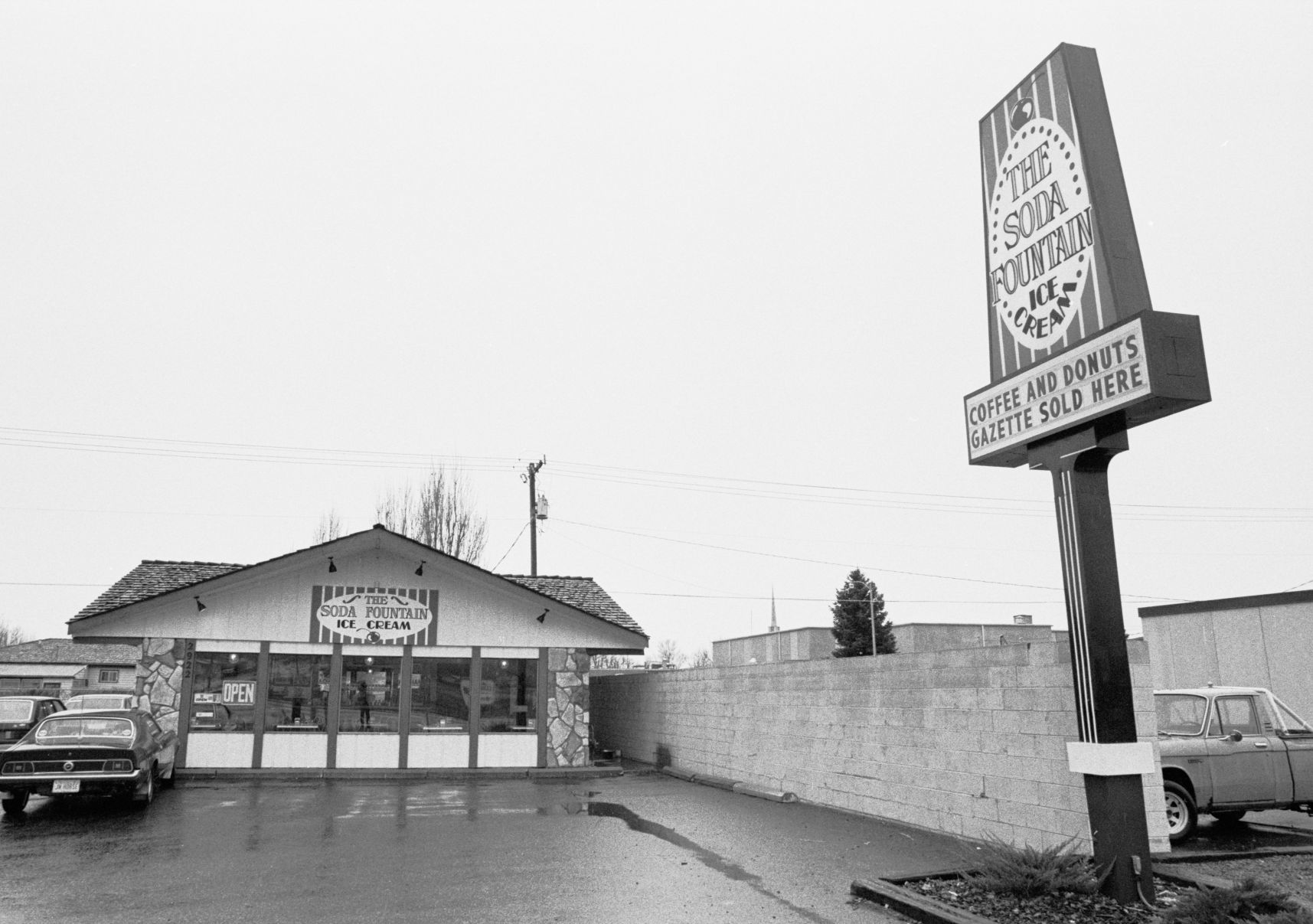 The Soda Fountain